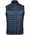 TVX-2M Stormtech Appalachian Thermal Soft Shell Bodywarmer Midnight colour image